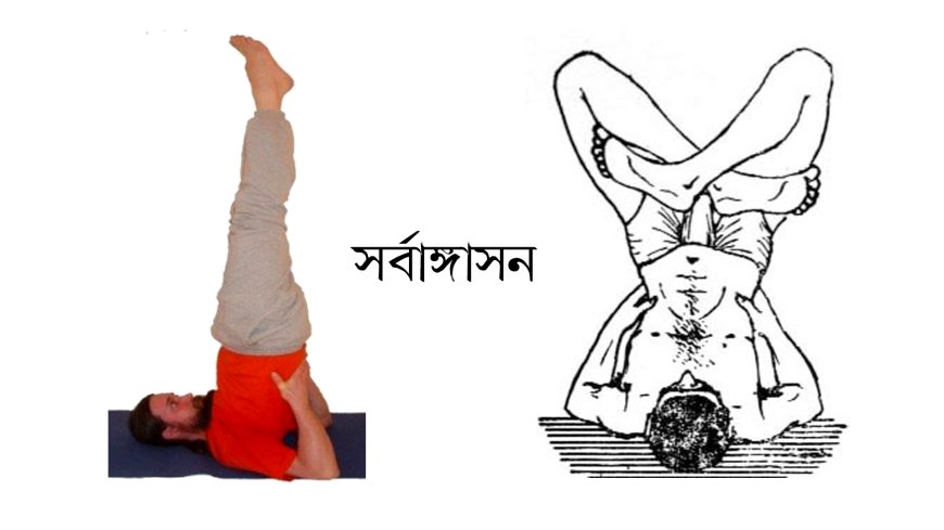 সর্বাঙ্গাসন